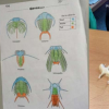 学生可以通过故事比活动更有效地学习