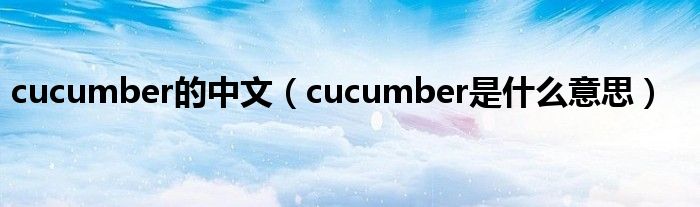 cucumber的中文（cucumber是什么意思）