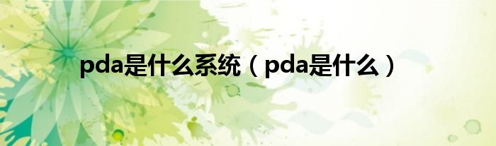 pda是什么系统（pda是什么）