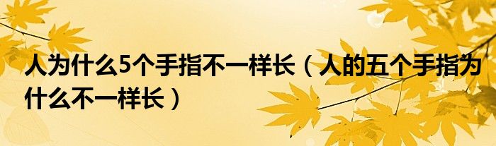 人为什么5个手指不一样长（人的五个手指为什么不一样长）