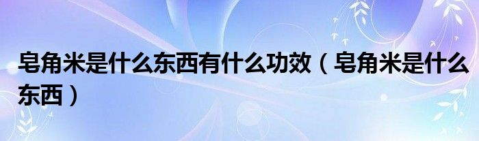 皂角米是什么东西有什么功效（皂角米是什么东西）