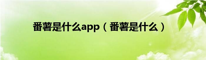 番薯是什么app（番薯是什么）