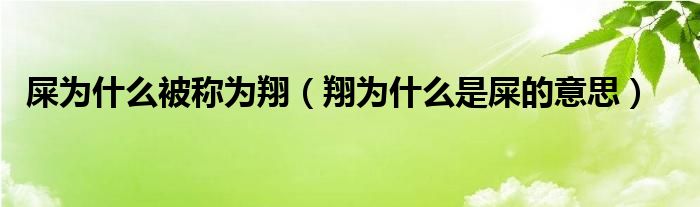 屎为什么被称为翔（翔为什么是屎的意思）