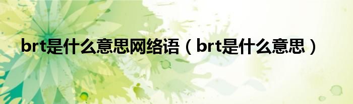 brt是什么意思网络语（brt是什么意思）