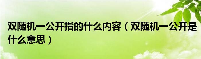 双随机一公开指的什么内容（双随机一公开是什么意思）