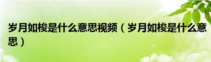 岁月如梭是什么意思视频（岁月如梭是什么意思）