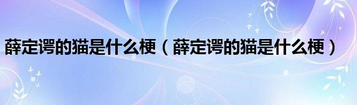 薛定谔的猫是什么梗（薛定谔的猫是什么梗）