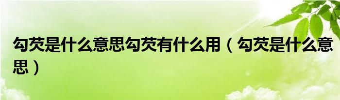 勾芡是什么意思勾芡有什么用（勾芡是什么意思）