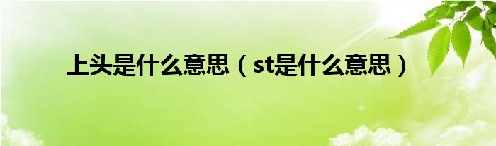 上头是什么意思（st是什么意思）