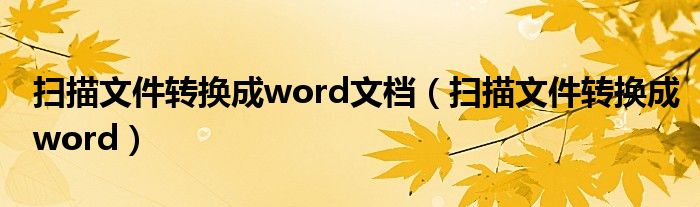 扫描文件转换成word文档（扫描文件转换成word）