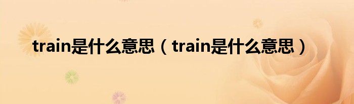 train是什么意思（train是什么意思）