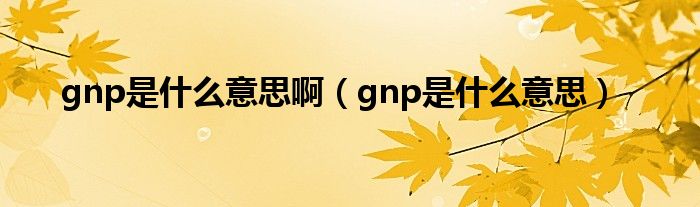 gnp是什么意思啊（gnp是什么意思）