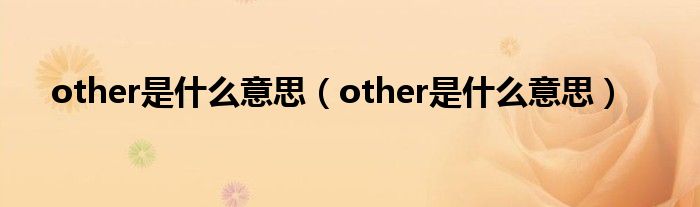 other是什么意思（other是什么意思）