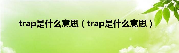 trap是什么意思（trap是什么意思）