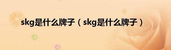 skg是什么牌子（skg是什么牌子）