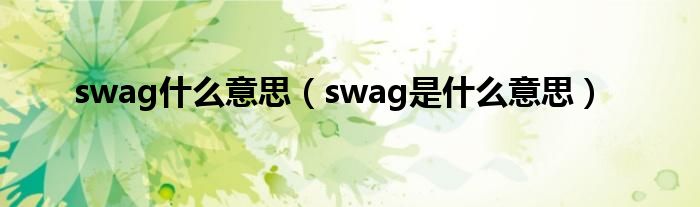 swag什么意思（swag是什么意思）