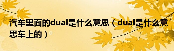 汽车里面的dual是什么意思（dual是什么意思车上的）