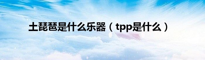 土琵琶是什么乐器（tpp是什么）