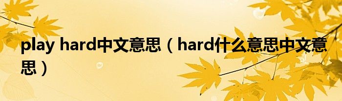 play hard中文意思（hard什么意思中文意思）