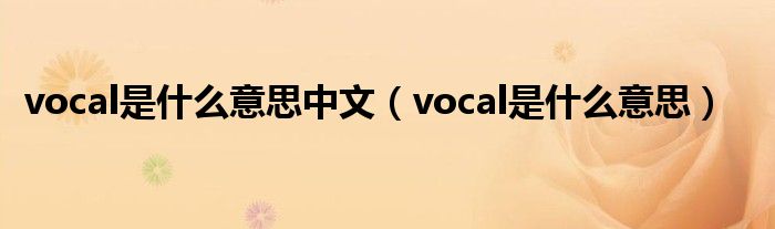 vocal是什么意思中文（vocal是什么意思）