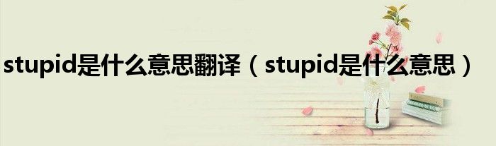 stupid是什么意思翻译（stupid是什么意思）