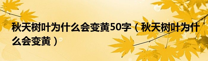 秋天树叶为什么会变黄50字（秋天树叶为什么会变黄）