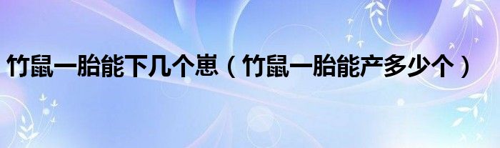 竹鼠一胎能下几个崽（竹鼠一胎能产多少个）