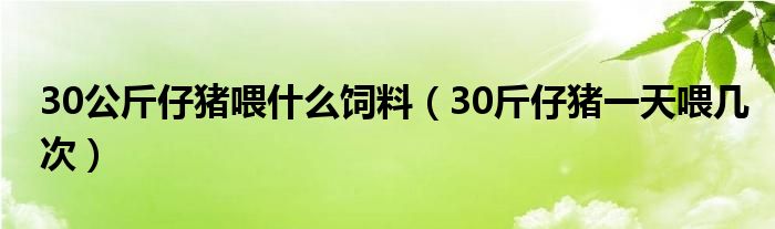 30公斤仔猪喂什么饲料（30斤仔猪一天喂几次）