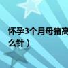 怀孕3个月母猪高烧41度怎么治（母猪高烧41度怎么办打什么针）