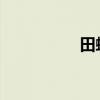 田螺可以放冰箱冷冻吗