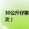 30公斤仔猪喂什么饲料（30斤仔猪一天喂几次）