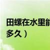 田螺在水里能活多长时间（田螺在水里可以活多久）