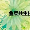 鱼菜共生技术（100平需要投资多少）