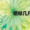 蟾蜍几月份产子（蟾蜍几年成熟）