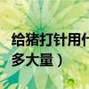 给猪打针用什么办法最轻松（注射阿奇霉素用多大量）