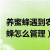 养蜜蜂遇到农民打农药怎么办（遇到打农药蜜蜂怎么管理）