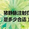 猪静脉注射在哪个部位（附注射青霉素的用量是多少合适）