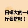 田螺大的一斤大概有多少个（田螺亩产2000斤会挤吗）