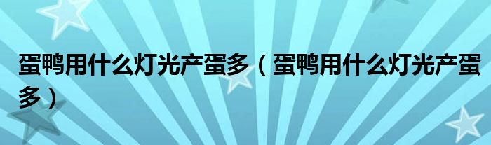 蛋鸭用什么灯光产蛋多（蛋鸭用什么灯光产蛋多）