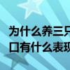 为什么养三只以上画眉就不会压口（画眉被压口有什么表现）