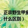 正宗野生甲鱼怎么分别（与人工养殖的甲鱼有什么区别）