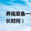 养殖草鱼一年能长20斤吗（草鱼需要养殖多长时间）