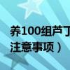 养100组芦丁鸡需要多少成本（附养殖方法和注意事项）