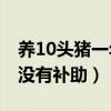 养10头猪一年利润多少（需要多大的面积 有没有补助）