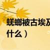 蜣螂被古埃及人称作什么（蜣螂被古埃及称为什么）