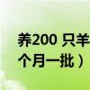 养200 只羊需要多少成本（养殖羊一般是几个月一批）