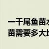 一千尾鱼苗水花成活率在多少（1万尾水花鱼苗需要多大地方）