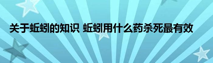 关于蚯蚓的知识 蚯蚓用什么药杀死最有效