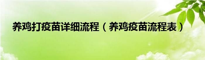 养鸡打疫苗详细流程（养鸡疫苗流程表）