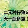 二元种仔猪6公斤养30天能平均多重（仔猪30天一般多重）